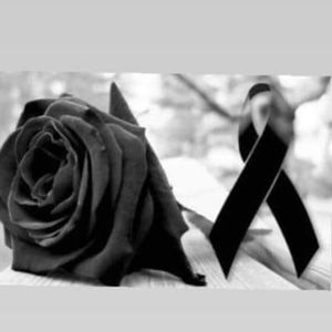 Meet your Posher, Anna monica